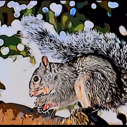 Squirrel Squirreling