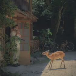 man and deer