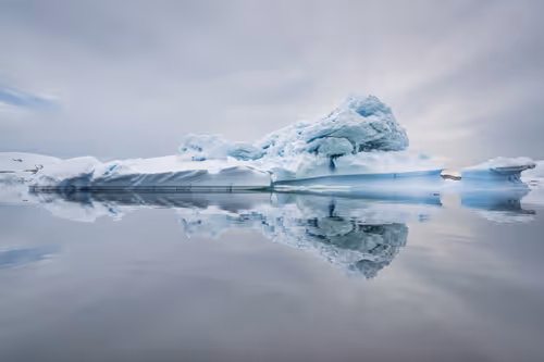 Item #41168216075356421475418355440995855194174491926388925330776099981941341683713 Media