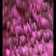 93469302660462583484690190998346915166105619251926010531368634895742487494657