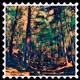 thevanishingforest Collection