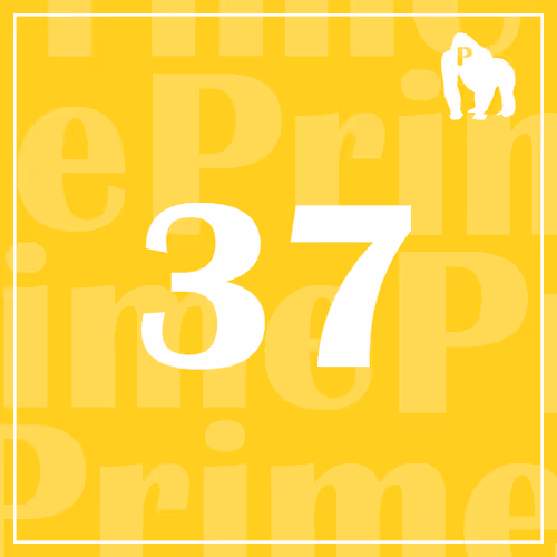 Item #49496228722000573358816110838442268791672064139473731993546496109594923761665 Media