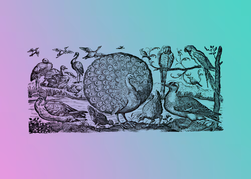 Item #98452652739139728385833177139880784176422420203299536309471942794303424692225 Media