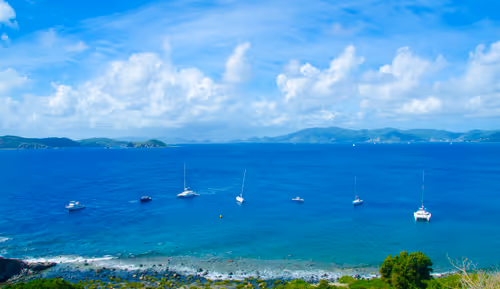 Item #92971587401879212914465603849674525645265351012255145539777938580615930576897 Media