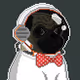 50026035983408078250994173360488288263096975531876096543272303564628906999809