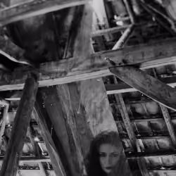 One of the ghosts in the attic