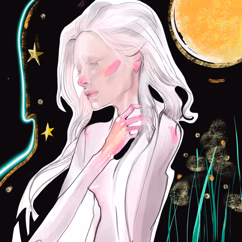 techdegen Collection - old