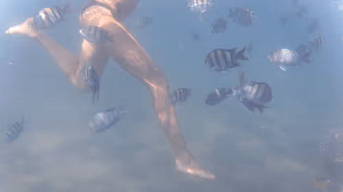 Item #32522392328516293709208538786472574869311995244495637720412795653047892049925 Media