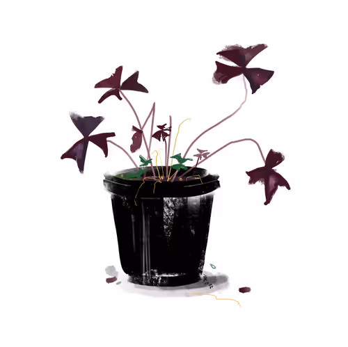 Item #52250949432464816676585729051034576970550509500659641625369807538955808145409 Media