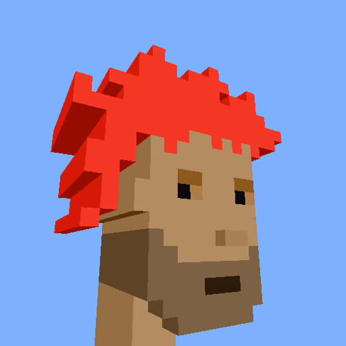 PunkVoxels #4503