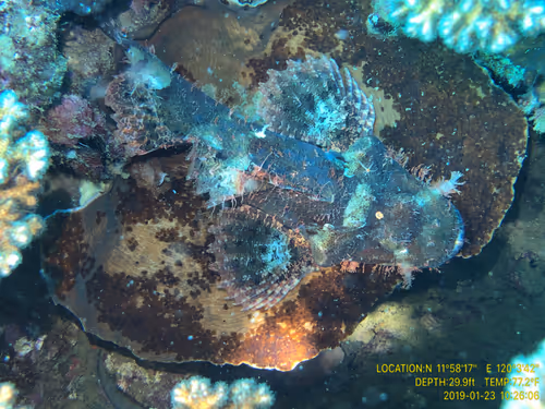 Item #80965803268169370603932631570667161375508893671094224909166964314029412057089 Media