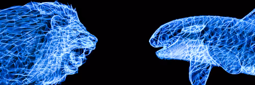 Item #41835371952023020745860012220635076645506524094652361390294664925714963234817 Media