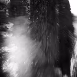 38495668349306452240688866721683925223246116077147746545727998334855792296036