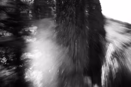 Item #38495668349306452240688866721683925223246116077147746545727998334855792296036 Media