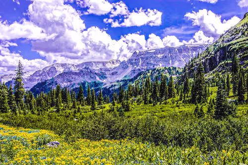 Yankee Boy Basin