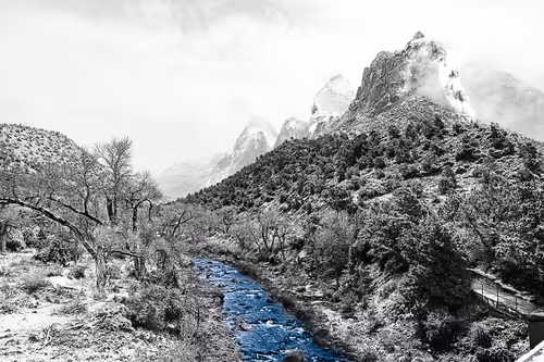 Item #4777953153526599569062198925190878774289520256553367647462911725862052167681 Media