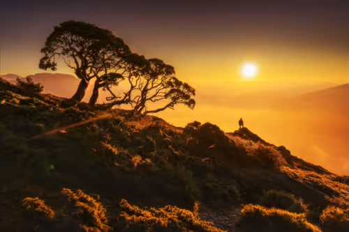 Item #94729080485503513708329965317332491879903775520225674536844109500604489924609 Media