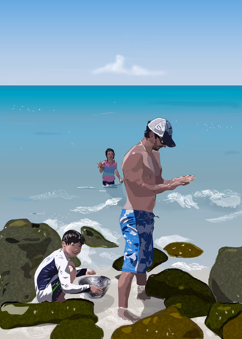 Item #16856792038433310560442353969730674754691862844441676398277363847553051787265 Media