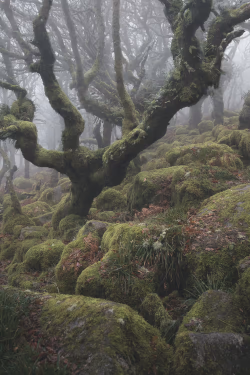 Item #72639390708267126639436568569652760193401123475841185469851730213672818049025 Media