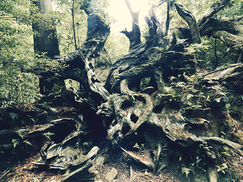 Item #89534767864189409759149289902854589290049620081388953356562923100616576204801 Media