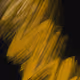 61309624796392581391786013365072884148674617937351460243463641340890333577217