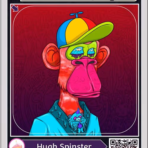 Westside_habibi Collection