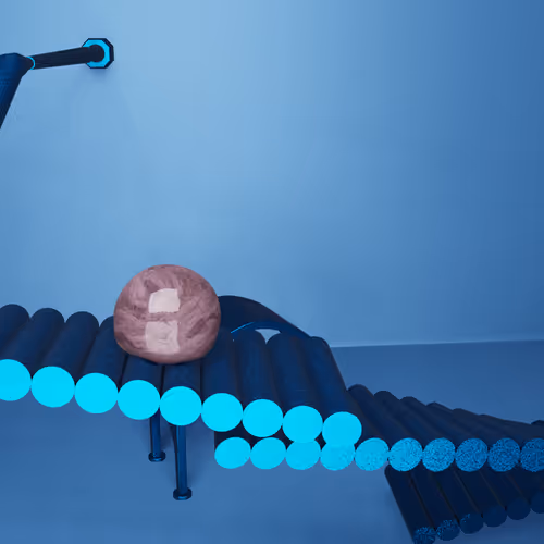 Item #79766767225734318577900366772134116135711362522494259260879660292475501674497 Media