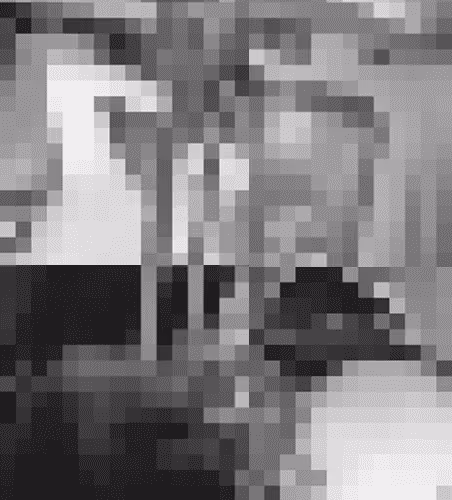 Another White