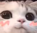 Testtttafwghsasdg KMIZsaDWWx