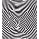 3799515490220879732882333409938015140683167415382329987461811135430589939713