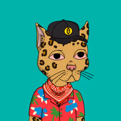 Gutter Cat 3