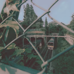 train in japan