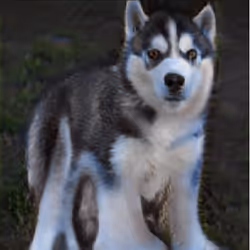 55525875118330994482032925216761404736570211771565447267945268432290608840705