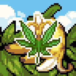 Banana OG