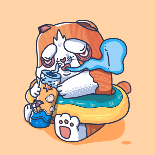 POKO DRUNK ON THE BEACH