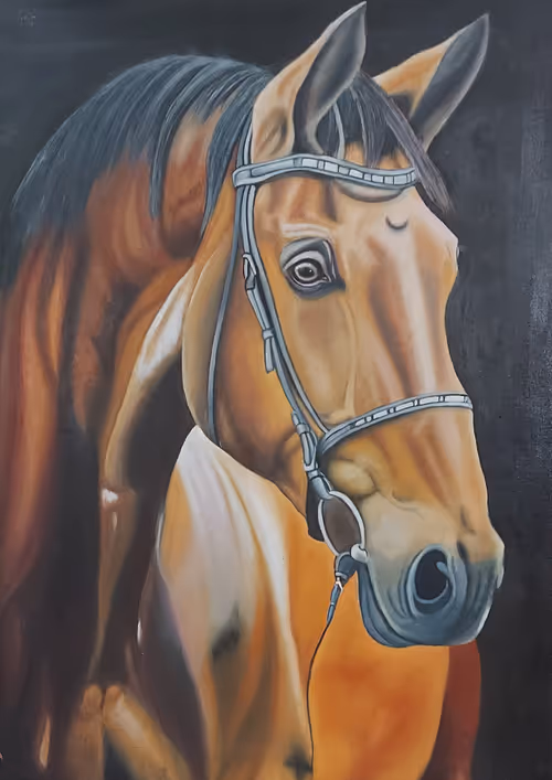 Item #56770119816642739473342556339518433199296907130769447430510033556515311321089 Media