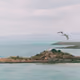 73713181878627554406242832194710807564780339621325290007034047761670639452161