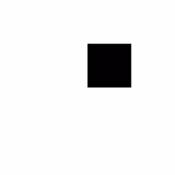 Square #4