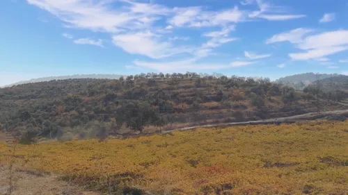 Item #1110404731341968382399006517740564118448817271899359241823578408155065876481 Media