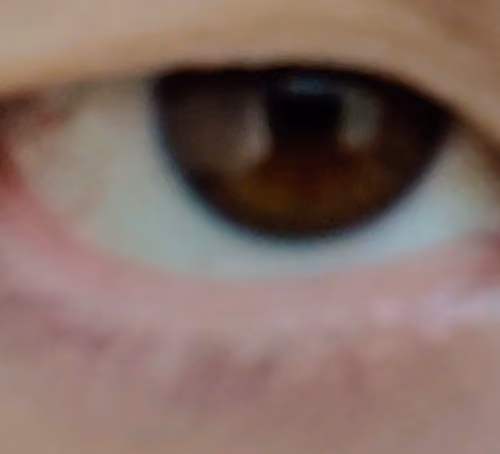 見る右目（Right eye to see）