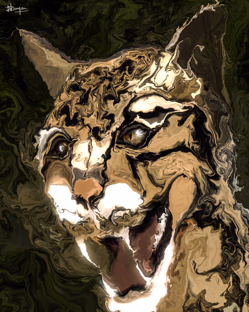 Item #60420524710888365794372195619800709470770054847816031074319961429186485157889 Media