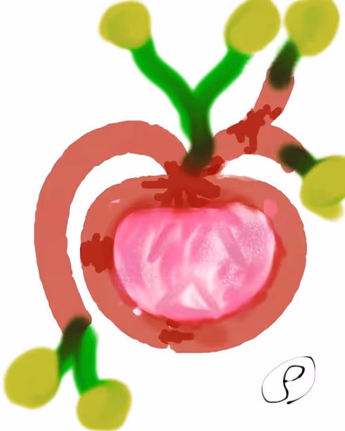 Item #96133630130899888511680759709798733655180352092271570668730776119018772234241 Media