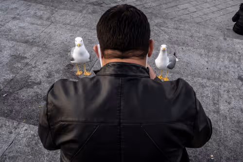 Item #45698053960438807051727633621105073210005053048443120307747772244627357171713 Media