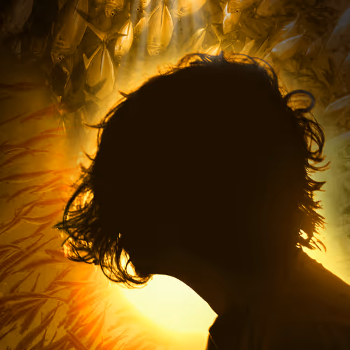 ideartist Collection - old