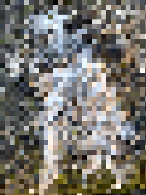 Item #2850415134272365380187775685678842410458265265709128331682257538161607442433 Media