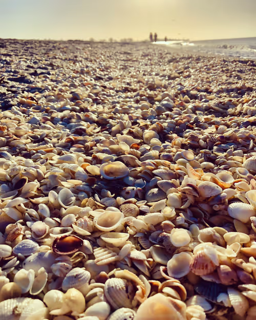 Item #113878984916961174745364683224813624394039454601002665146284580031949105528833 Media