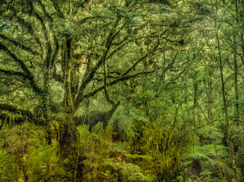 Item #113391420929209941219598099572508675076097289829558384042967581996577510653953 Media