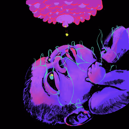 Item #95328989759495108423702854397899843607456839458301187039596122088171236229121 Media