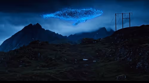 Item #33486184159285846115667591958791800149064678355360457612530911794592389005313 Media