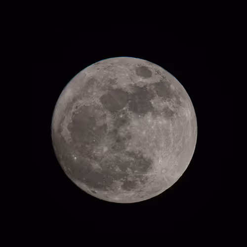 Item #44024487065254451978341284796523308956461514990321328857199441198101368406017 Media